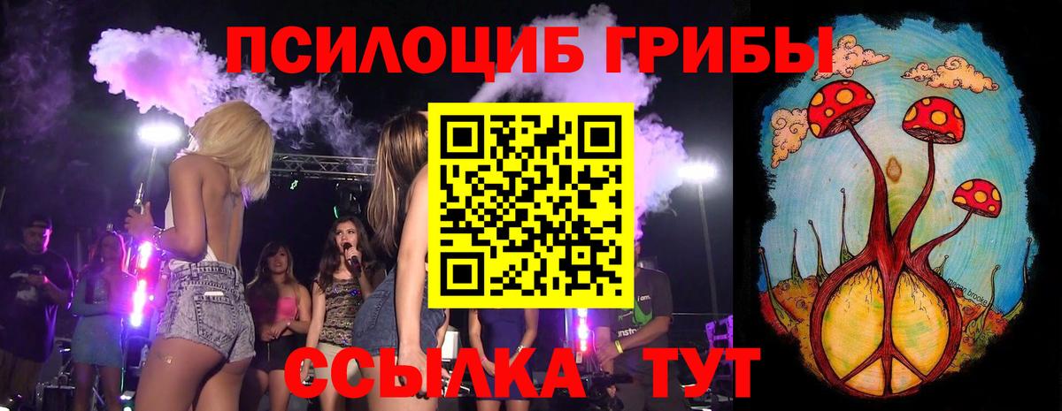 Сердобск  Галлюциногенные грибы мухоморы  Вход с VPN 